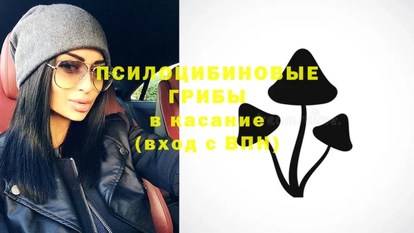 spice Алексеевка