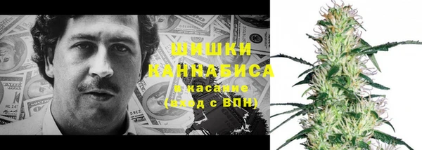 Альфа ПВП Алзамай