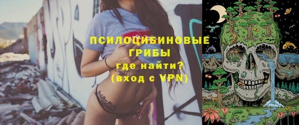 стаф Краснотурьинск