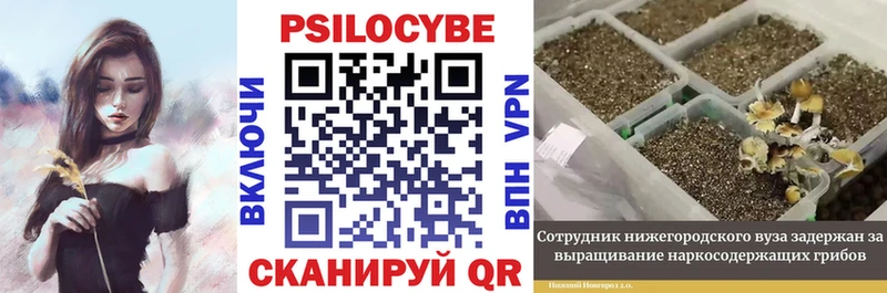 купить  сайты  Ува  Псилоцибиновые грибы Magic Shrooms 